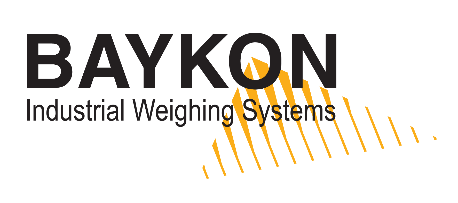 Baykon Logo