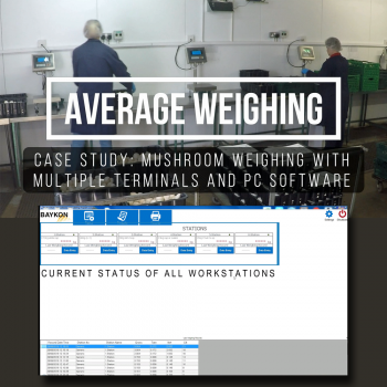 Average Weight Software
