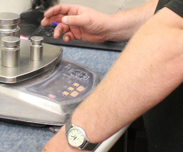 Bench & Portion Scales