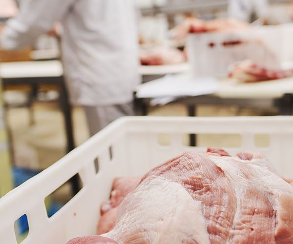 Portioning & Labelling