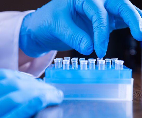 Laboratory & QA